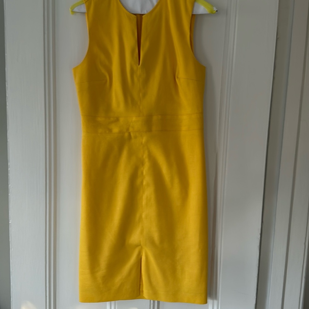 Ann Taylor Dress